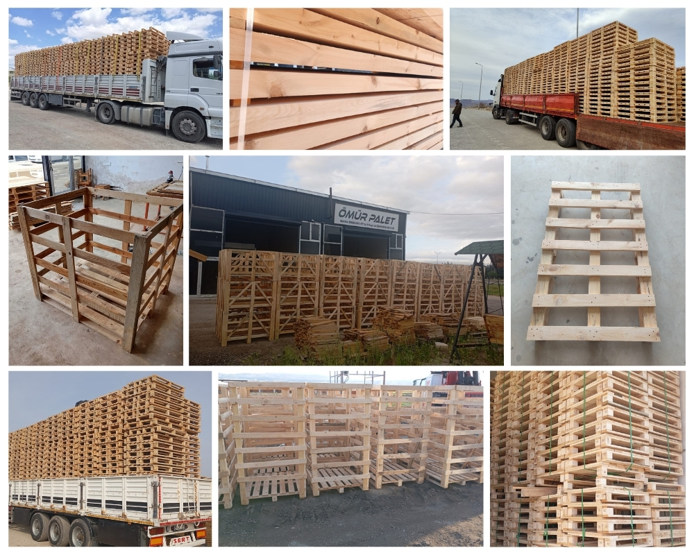 Groningen Houten Kisten, Europallets Groothandel Kopen